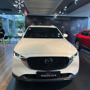 Alternative view of Mazda CX-8